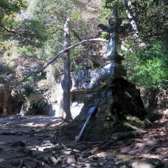 投稿日:2023年3月12日 写真