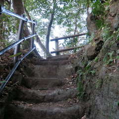 投稿日:2023年3月12日 写真