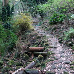 投稿日:2023年3月12日 写真