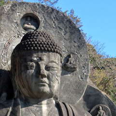 投稿日:2023年3月12日 写真