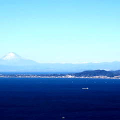 投稿日:2023年3月12日 写真