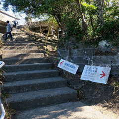 投稿日:2023年3月12日 写真