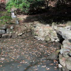 投稿日:2023年3月12日 写真