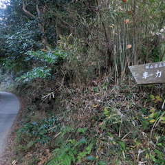 投稿日:2023年3月12日 写真