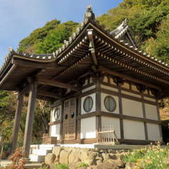 投稿日:2023年3月12日 写真