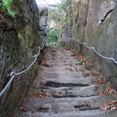 投稿日:2023年3月12日 写真