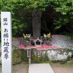 投稿日:2016年5月25日 写真