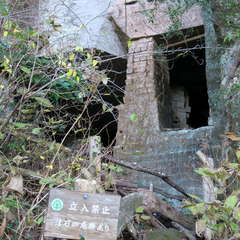 投稿日:2023年3月12日 写真