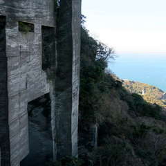 投稿日:2023年3月12日 写真