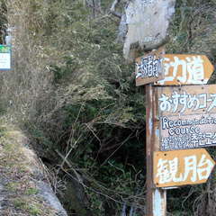 投稿日:2023年3月12日 写真