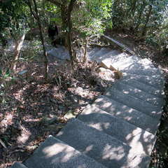 投稿日:2023年3月12日 写真