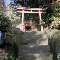 投稿日:2023年3月12日 写真