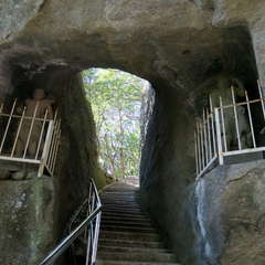 投稿日:2023年3月12日 写真