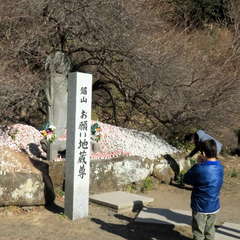 投稿日:2023年3月12日 写真