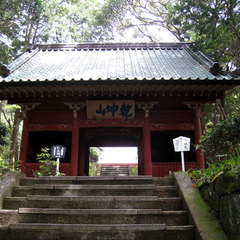 投稿日:2024年4月29日 写真