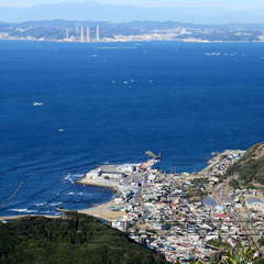 投稿日:2023年3月12日 写真