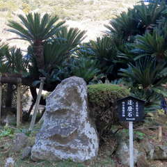 投稿日:2023年3月12日 写真