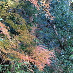 投稿日:2023年3月12日 写真