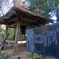 投稿日:2023年3月12日 写真