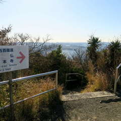 投稿日:2023年3月12日 写真