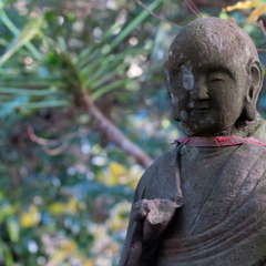 投稿日:2023年3月12日 写真