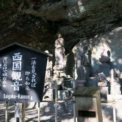 投稿日:2023年3月12日 写真