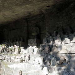 投稿日:2023年3月12日 写真