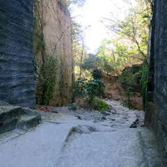 投稿日:2023年3月12日 写真