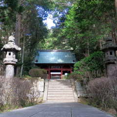 投稿日:2023年3月12日 写真