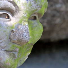 投稿日:2023年3月12日 写真