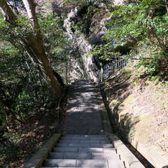 投稿日:2023年3月12日 写真