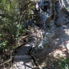 投稿日:2023年3月12日 写真