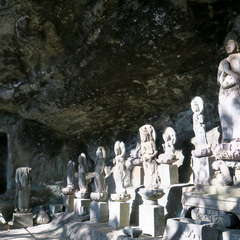 投稿日:2023年3月12日 写真