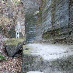 投稿日:2023年3月12日 写真