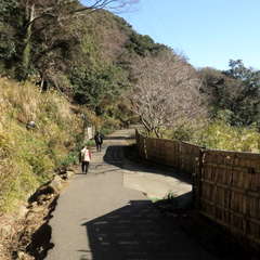 投稿日:2023年3月12日 写真