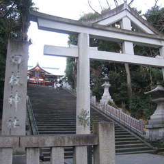 投稿日:2025年1月11日 写真