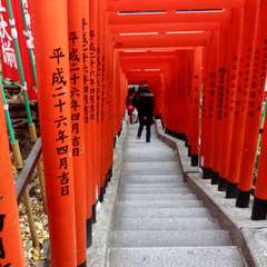 投稿日:2019年3月11日 写真