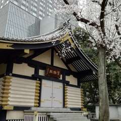 投稿日:2019年4月1日 写真