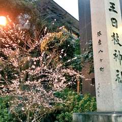 投稿日:2015年3月30日 写真