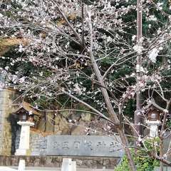 投稿日:2019年1月17日 写真