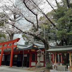 投稿日:2019年4月1日 写真