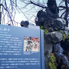 投稿日:2021年12月21日 写真