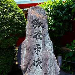 投稿日:2025年2月6日 写真