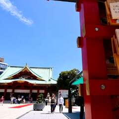 投稿日:2025年2月6日 写真