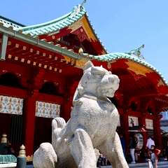 投稿日:2025年2月6日 写真