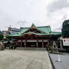 投稿日:2025年6月16日 写真