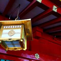 投稿日:2025年2月6日 写真