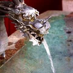 投稿日:2025年2月6日 写真