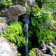 投稿日:2025年2月6日 写真