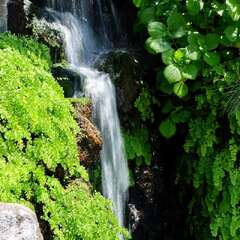 投稿日:2025年2月6日 写真